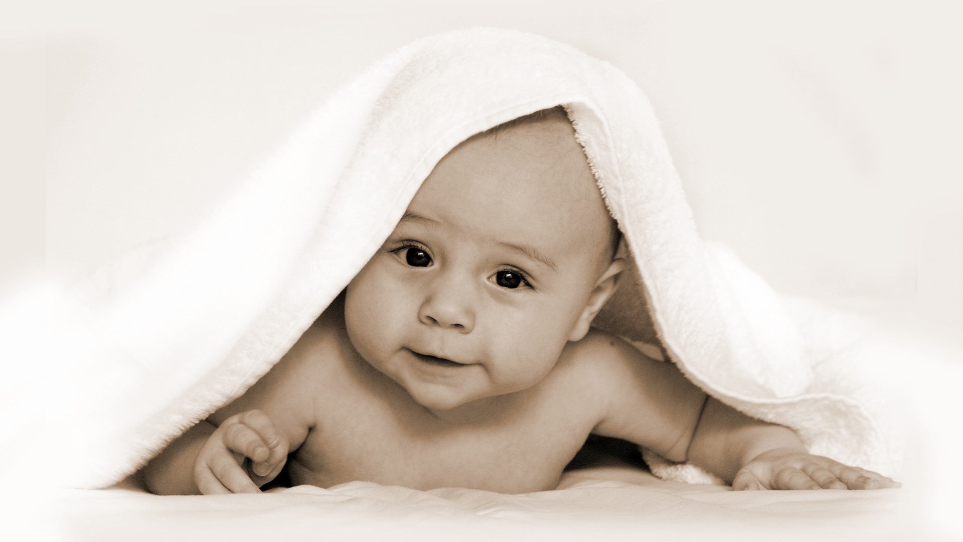 沈阳借卵机构试管婴儿囊胚成功率
